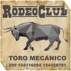 Rodeo club