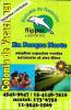 Colonia de vacaciones flipper y deportes